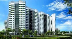 Blk 329A Anchorvale Harvest (Sengkang), HDB 3 Rooms #559890301